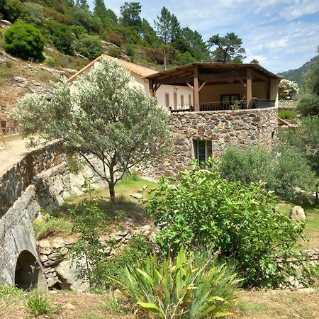 Bed and Breakfast A Guinguetta Venaco  Esterno foto