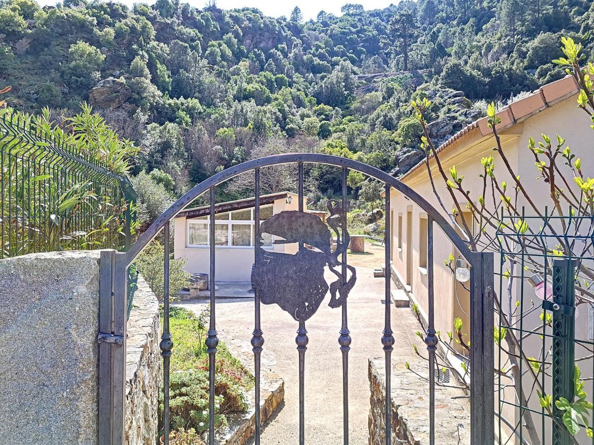 Bed and Breakfast A Guinguetta Venaco  Esterno foto