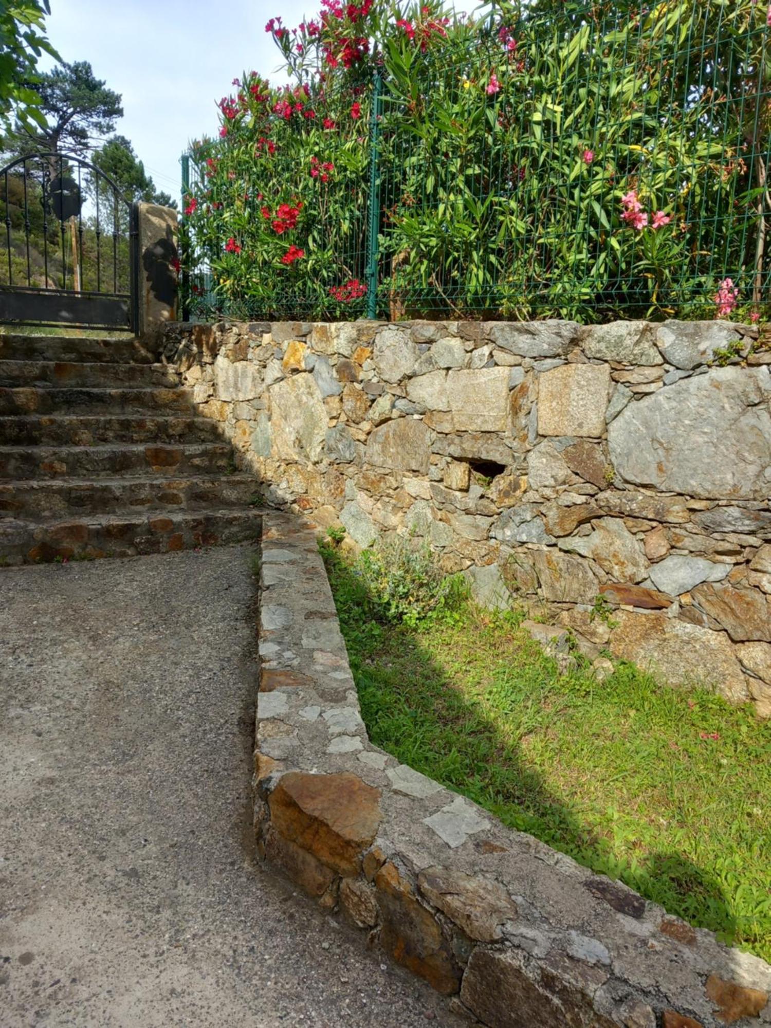 Bed and Breakfast A Guinguetta Venaco  Esterno foto